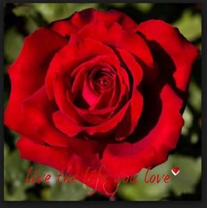 Meet your Posher, Sonia